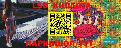 apvp Партизанск