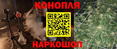 apvp Партизанск
