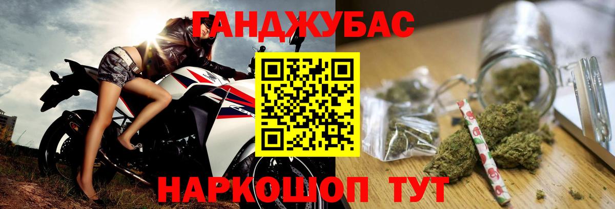 Конопля сатива Урай